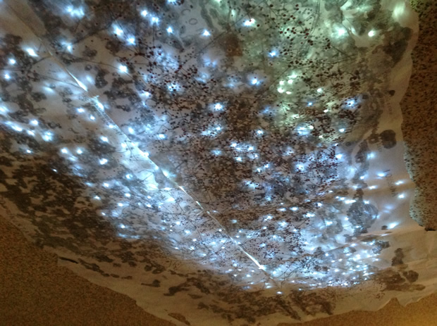 Dacia Manto Nebulosa 2013_ok