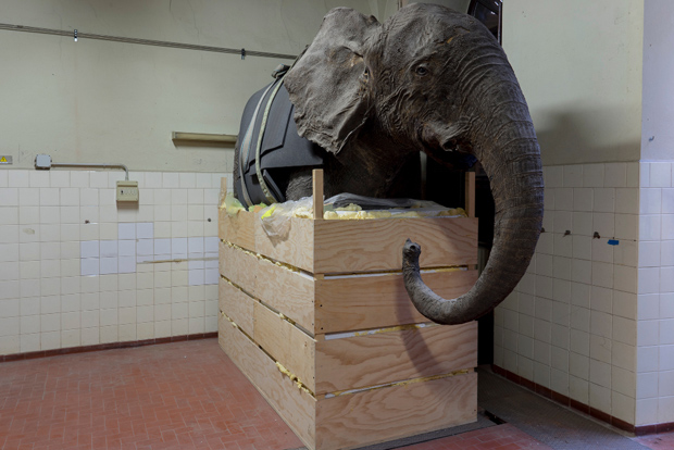 001_Joan-Fontcuberta