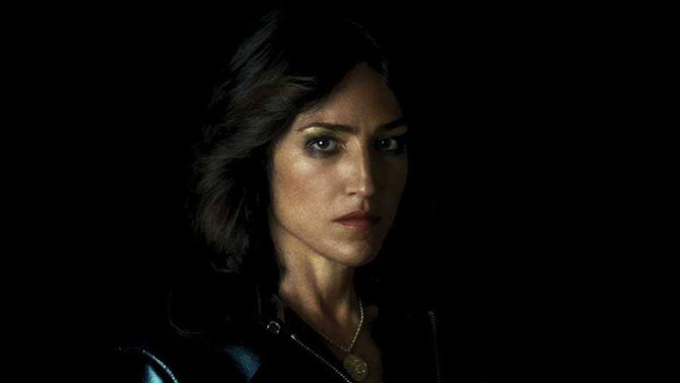 Joan As Police Woman