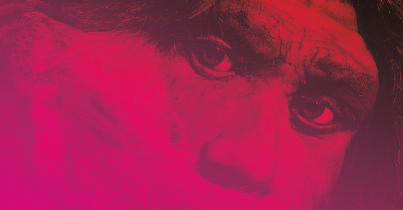 After, futuri digitali