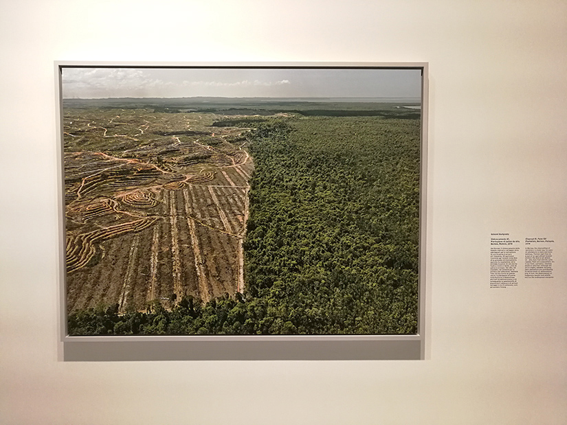 Anthropocene al MAST di Bologna