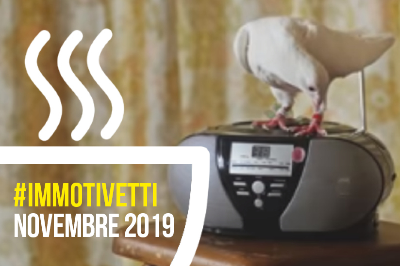 Gli #IMMOTIVETTI di novembre 2019