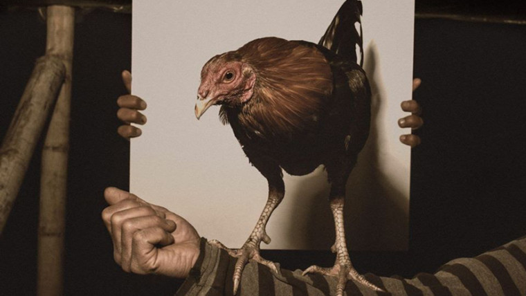 Cortona On The Move 2020 è sospesa