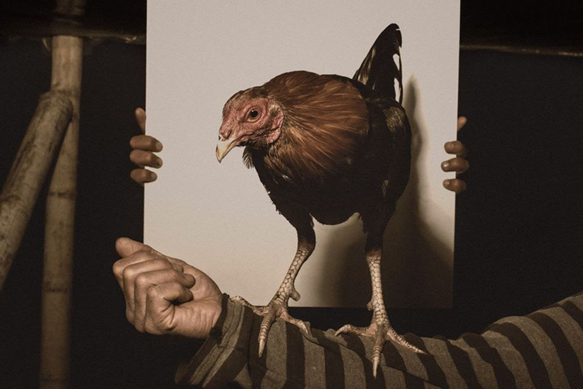 Cortona On The Move 2020 è sospesa