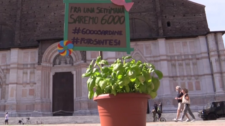 6000 Piantine crowdfunding Bologna