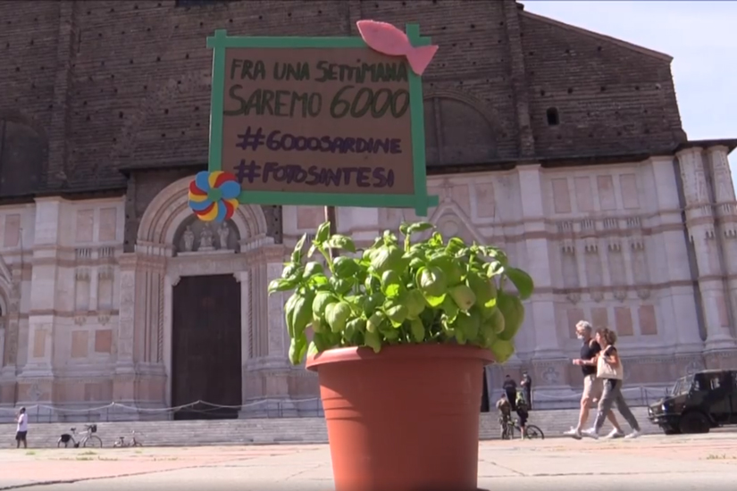 6000 Piantine crowdfunding Bologna